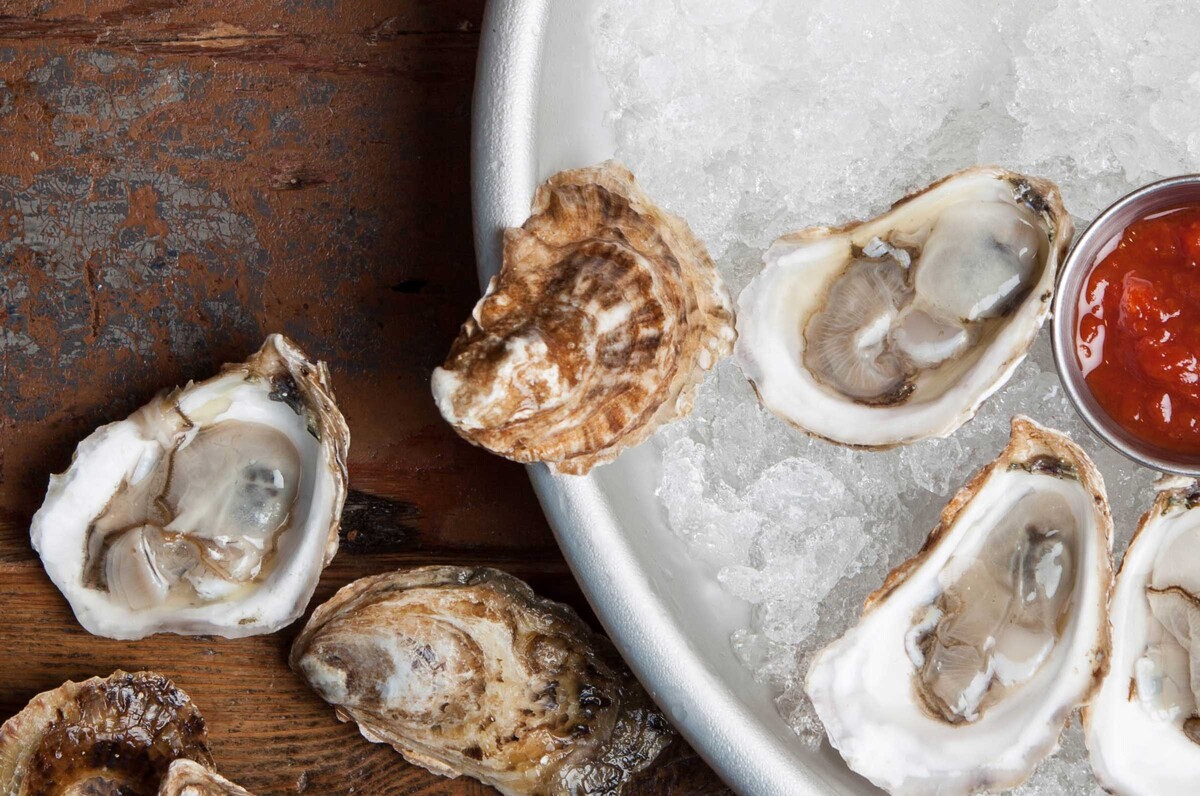 oysters